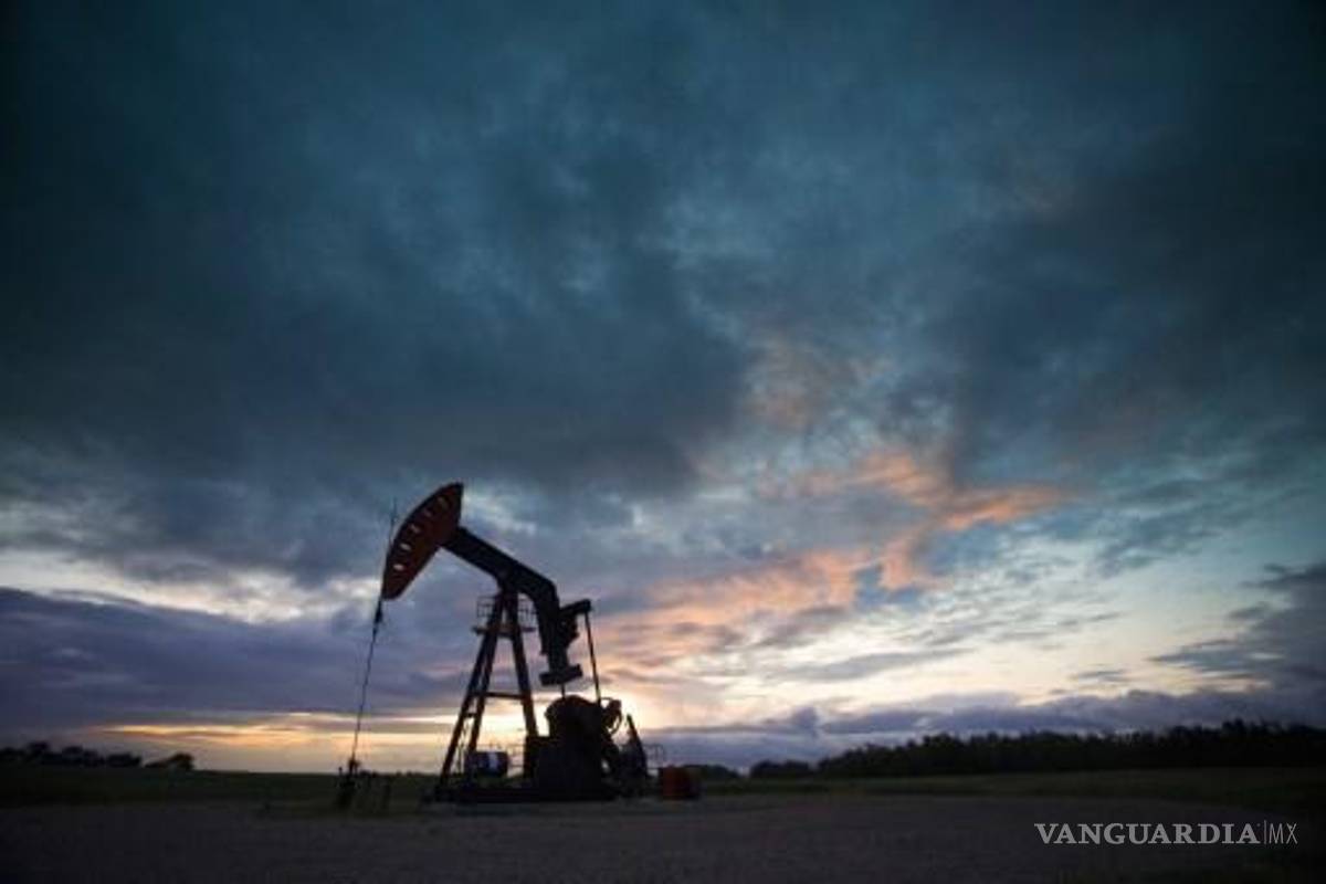 Encuentran malformaciones en recién nacidos cerca de explotación de Cuenca de Burgos