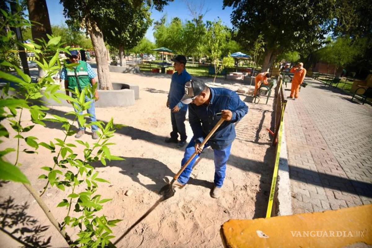 Torreón: Alcalde supervisa la remodelación de la Alameda Zaragoza