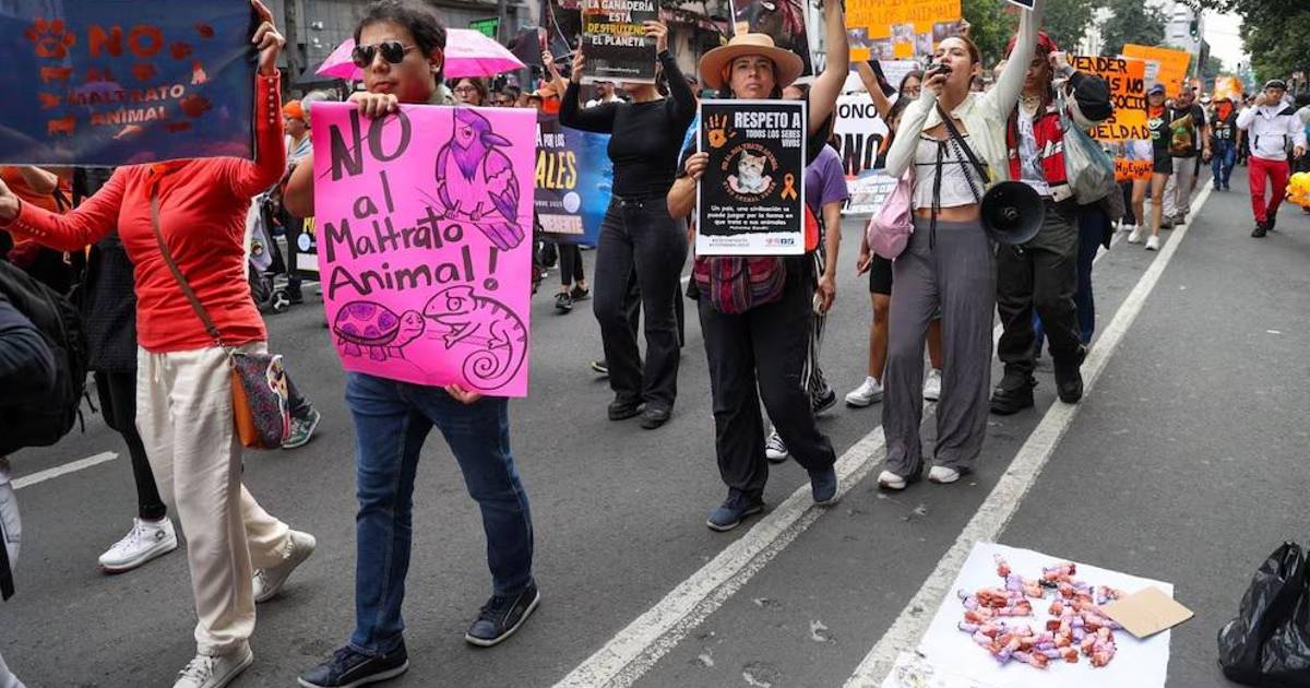 ‘Los animales no son cosas’: protestan en CDMX contra iniciativa que prohíbe su exhibición y venta