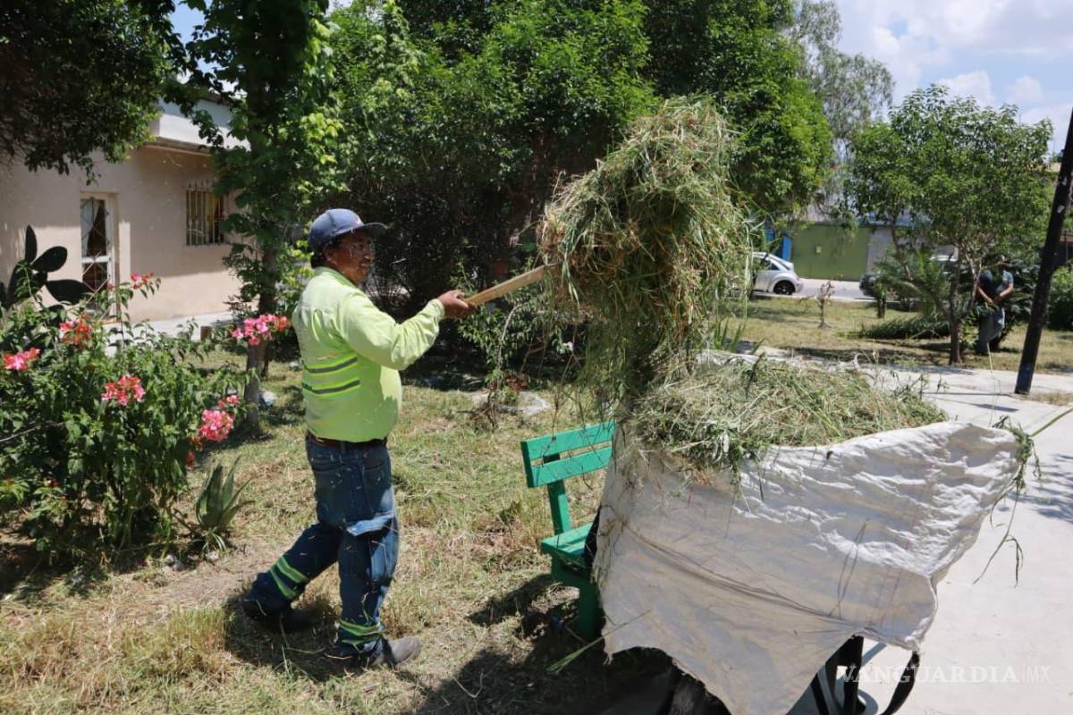 Gobierno de Saltillo refuerza limpieza y mantenimiento en plazas, vialidades y áreas verdes