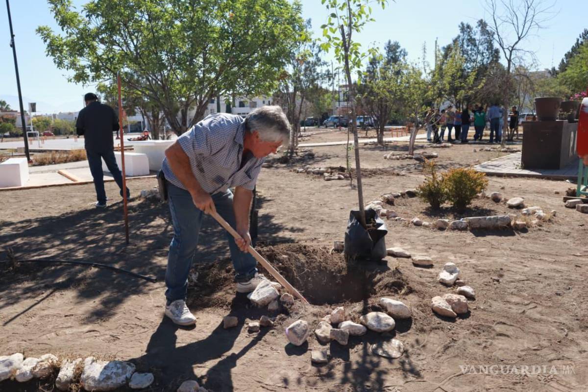 ‘Aquí Andamos’ siembra 30 árboles y embellece plazas públicas para disfrute de familias saltillenses
