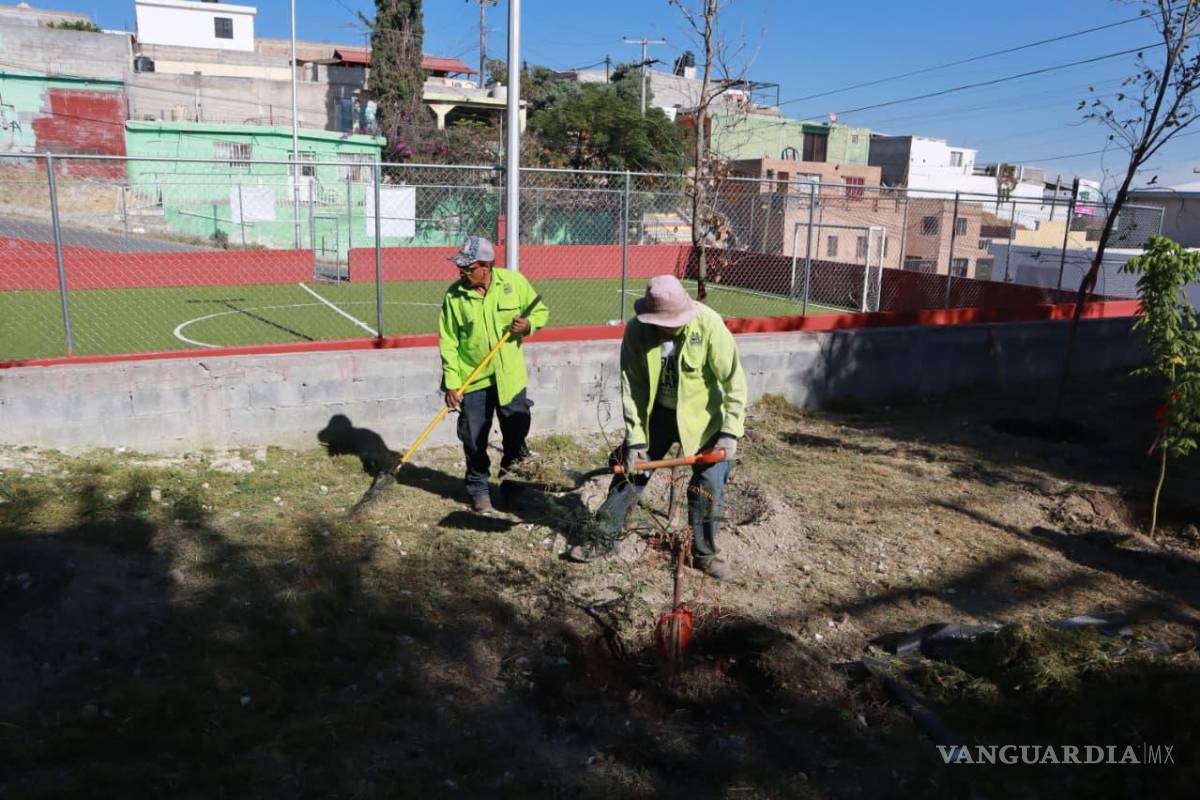 Impulsa Municipio de Saltillo limpieza y seguridad en plazas, camellones y áreas verdes