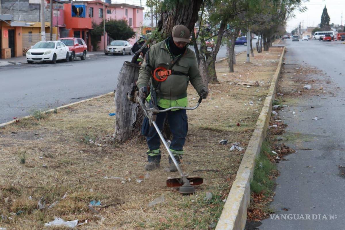 $!Cuadrillas de Servicios Públicos reforzaron acciones de limpieza en camellones y vialidades principales, como parte de la estrategia permanente de orden urbano y prevención.