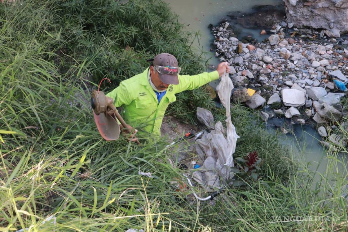 $!Estas acciones buscan prevenir taponamientos y la proliferación de fauna nociva para la salud.