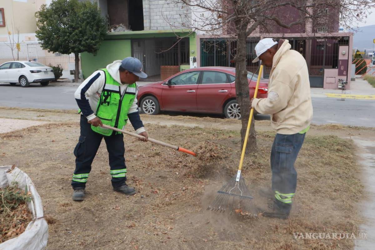 $!Brigadas municipales realizan labores de limpieza, deshierbe y retiro de escombro en plazas públicas de la colonia Latinoamericana.
