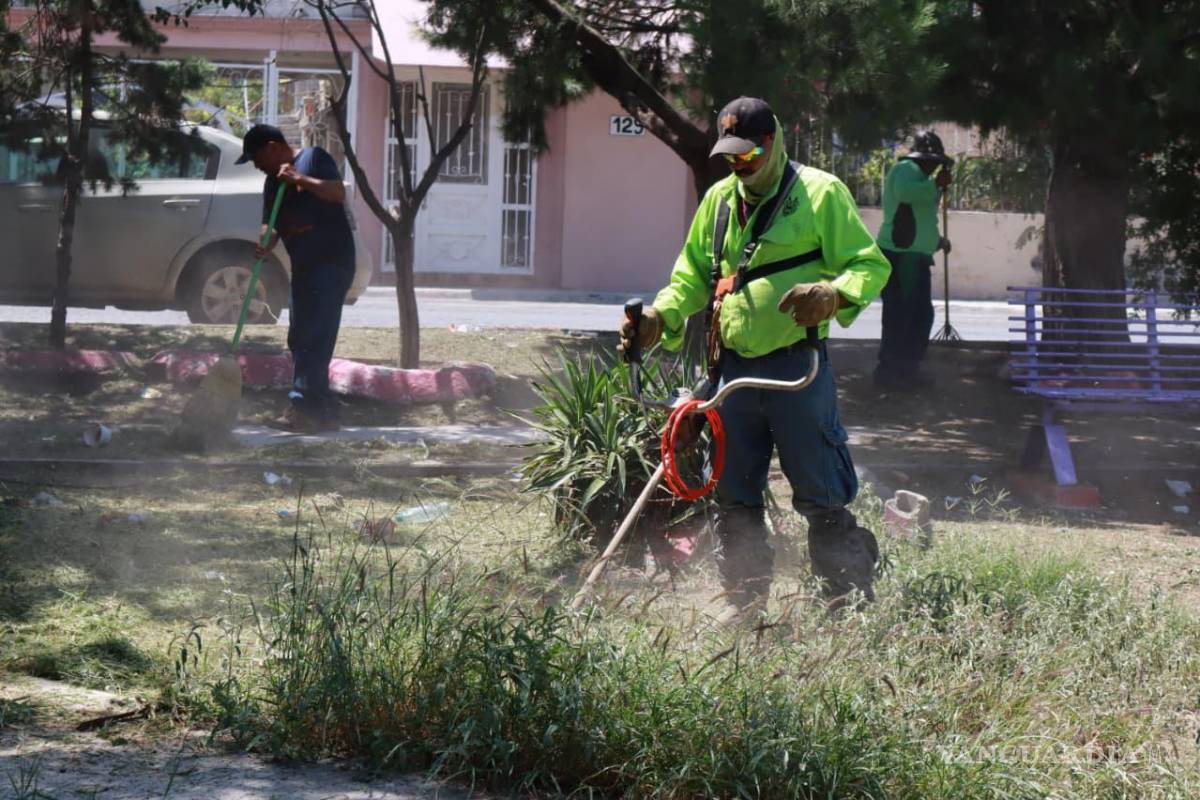 $!El camellón central del bulevar Morelos fue deshierbado y limpiado para mayor seguridad de peatones y automovilistas.