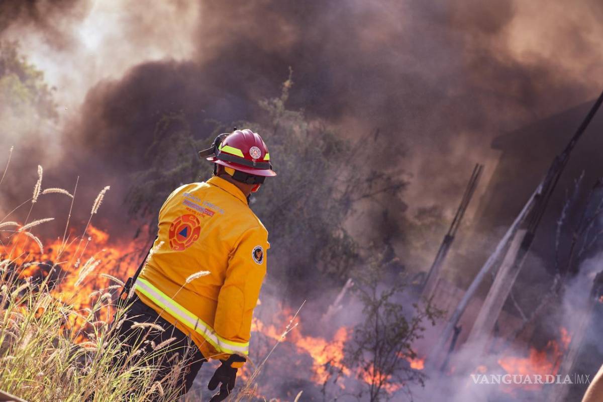Evacuan a 30 personas y rescatan a seis animales por incendio en Monterrey, Nuevo León