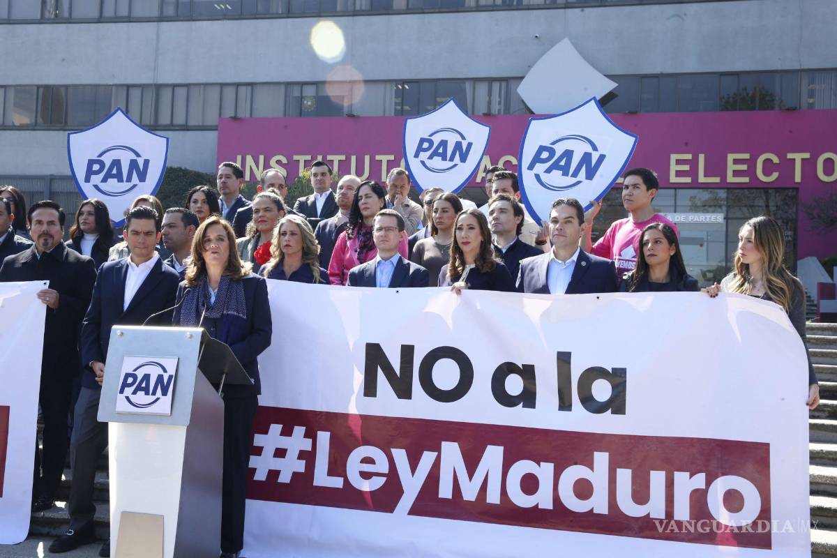 Reforma electoral: Alternativas para los plurinominales