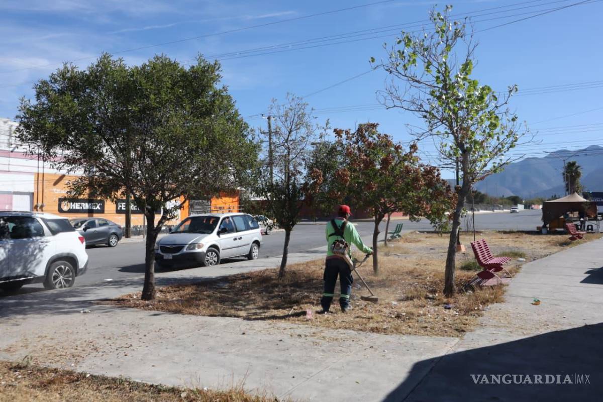 Continúa en Saltillo limpieza y deshierbe para mejorar seguridad y entorno urbano