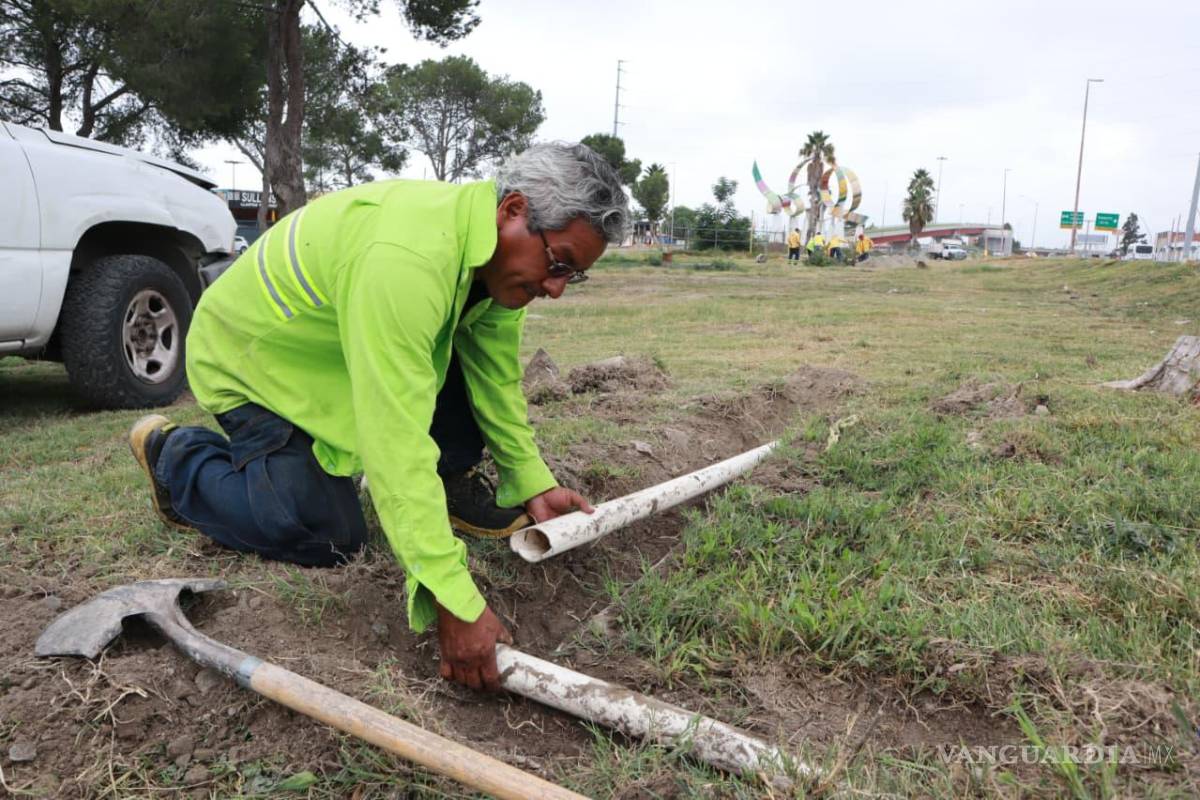 Gobierno municipal realiza mantenimiento y rehabilitación de áreas verdes en Saltillo