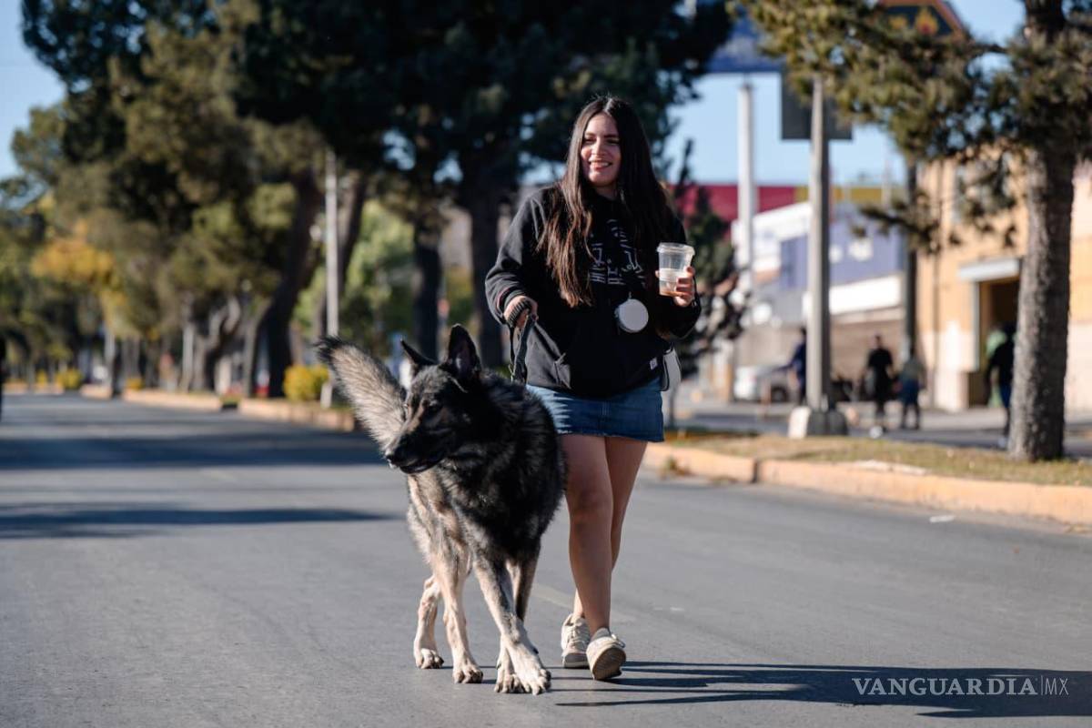 $!El circuito del bulevar Venustiano Carranza se consolidó como punto para los visitantes.