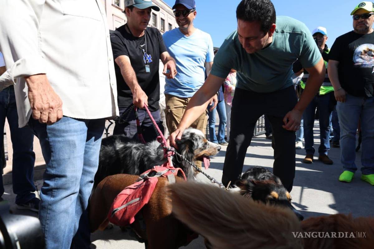 $!Perros y gatos recibieron atención veterinaria durante la inauguración del quirófano móvil.