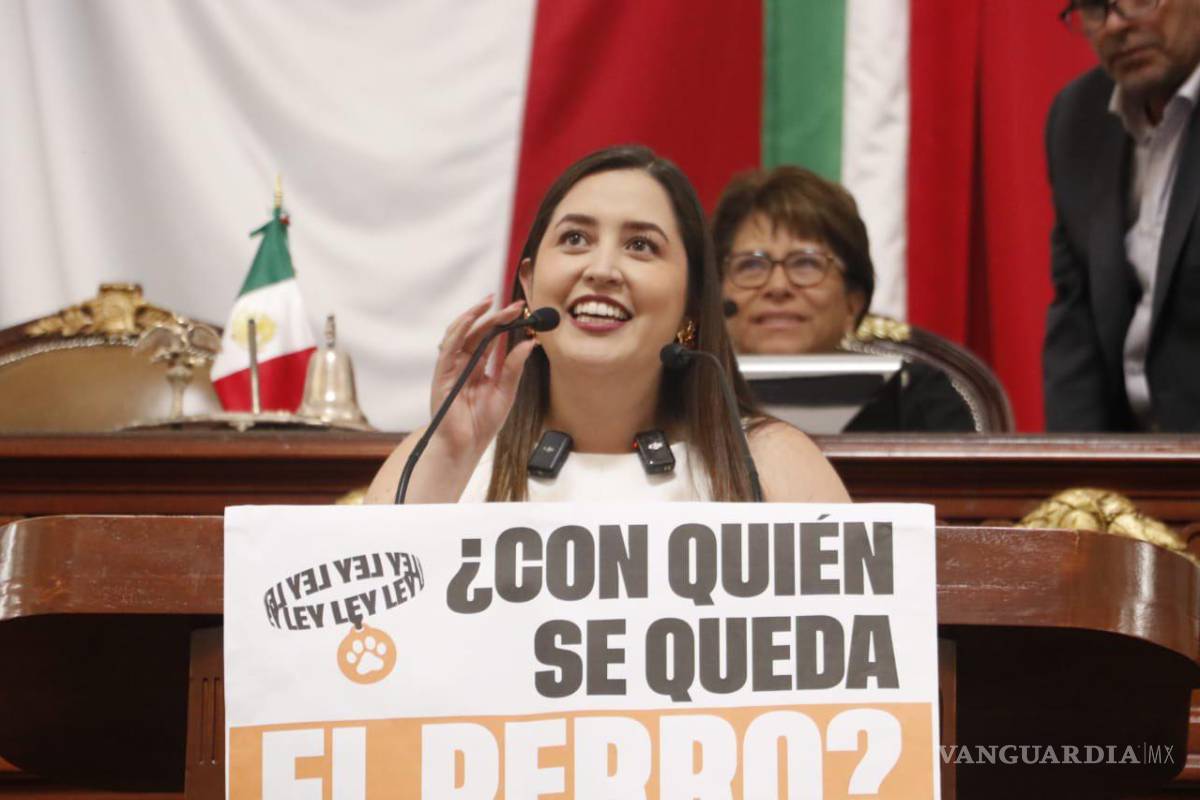 ¿Y los ‘perrhijos’ y ‘gathijos’? Congreso de CDMX avala custodia compartida de mascotas en casos de divorcio