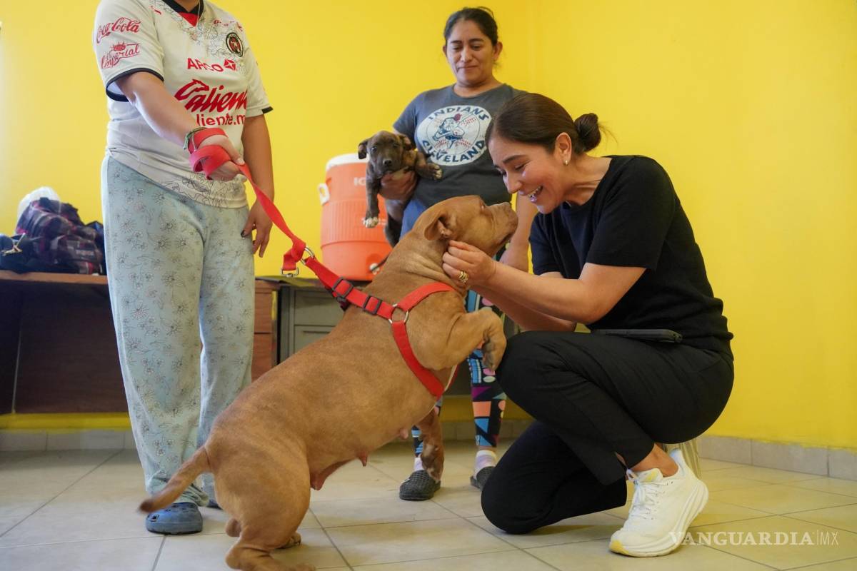 Impulsa Ramos Arizpe programa de atención y bienestar animal