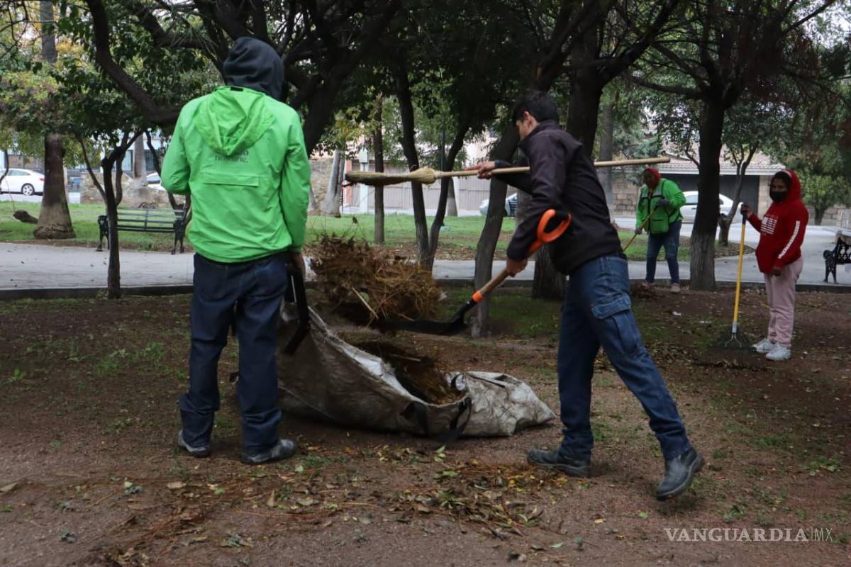 $!Brigadas municipales atendieron áreas verdes y espacios públicos en colonias como República Oriente, Praderas y La Fragua, con labores de limpieza, poda y deshierbe.
