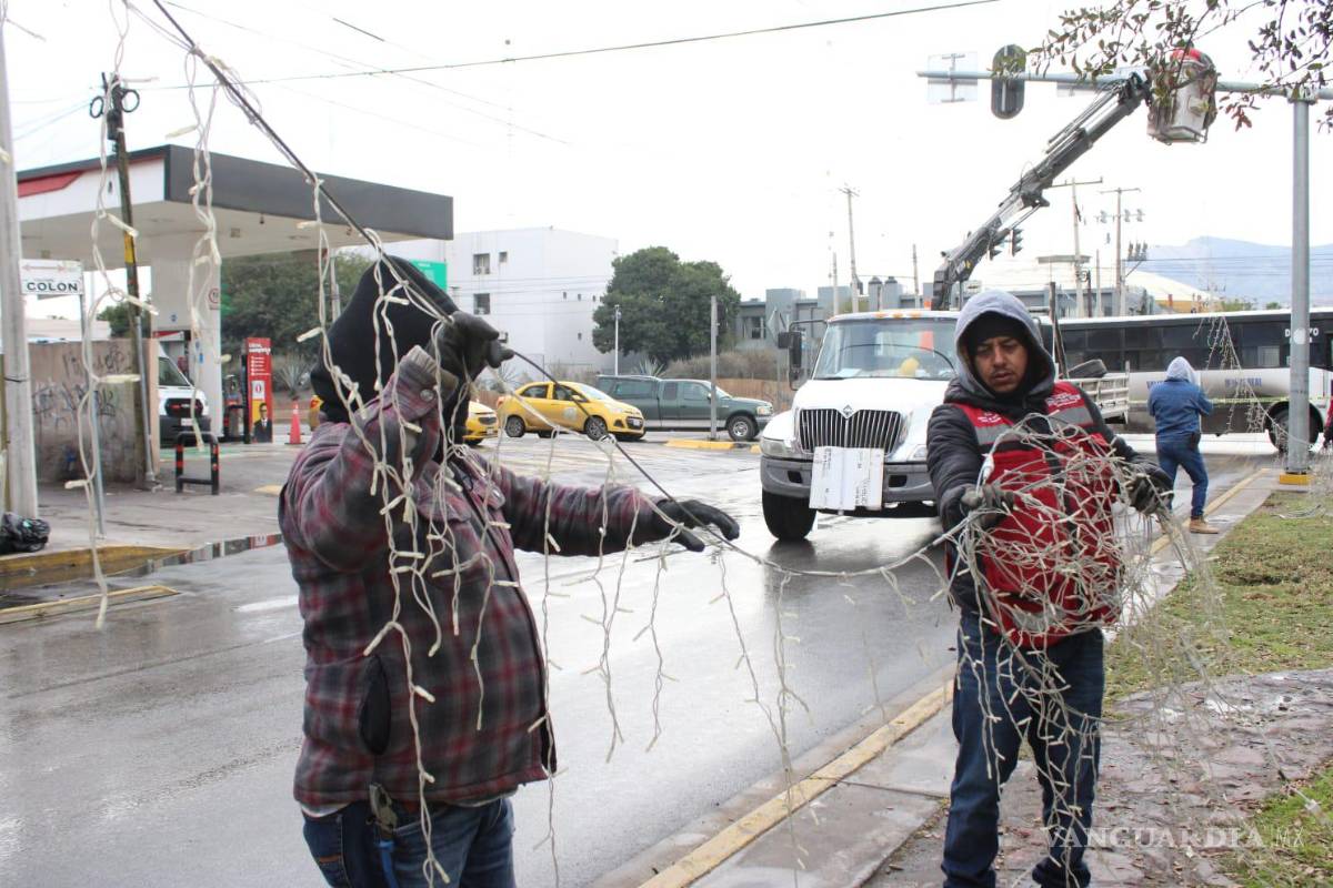 $!Las palmeras iluminadas del Paseo Morelos seguirán dando vida nocturna a la zona durante todo el año.