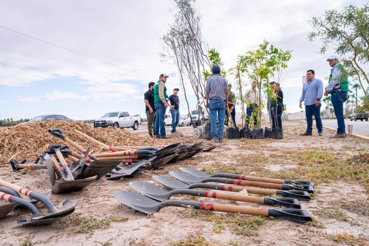 Universidad Tecmilenio y Municipio reforestan el bulevar Técnico Milenio