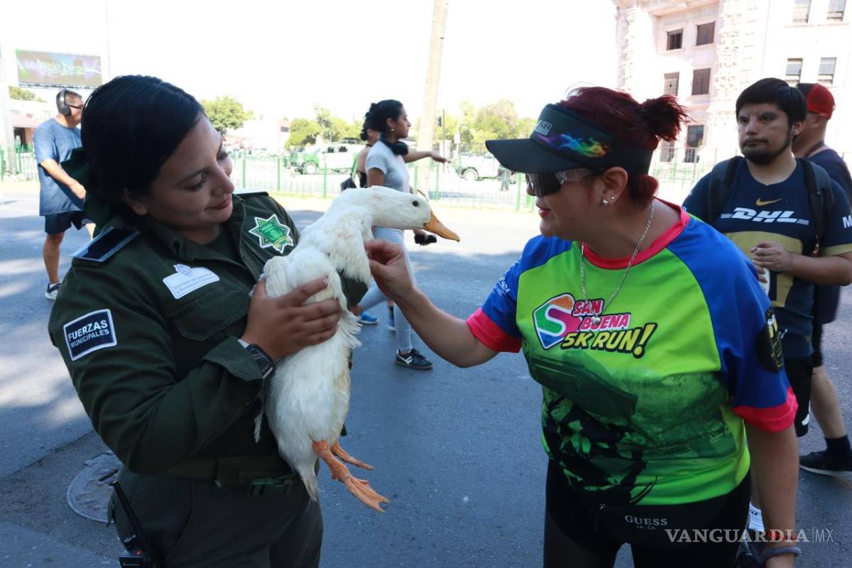 $!La Policía Ambiental montó una exhibición interactiva de animales, entre ellos un perro, un pato, una iguana y una tortuga