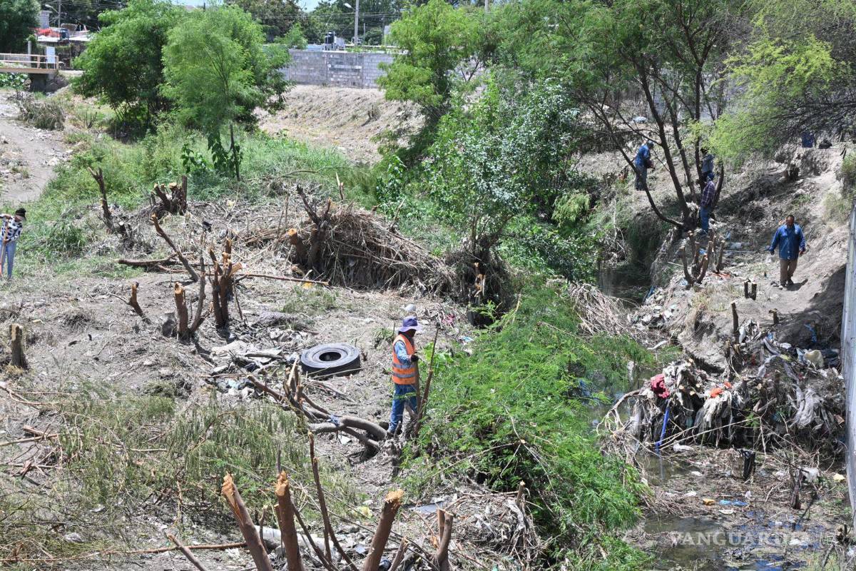 Brigadas municipales retiran más de 50 toneladas de basura del arroyo Frontera