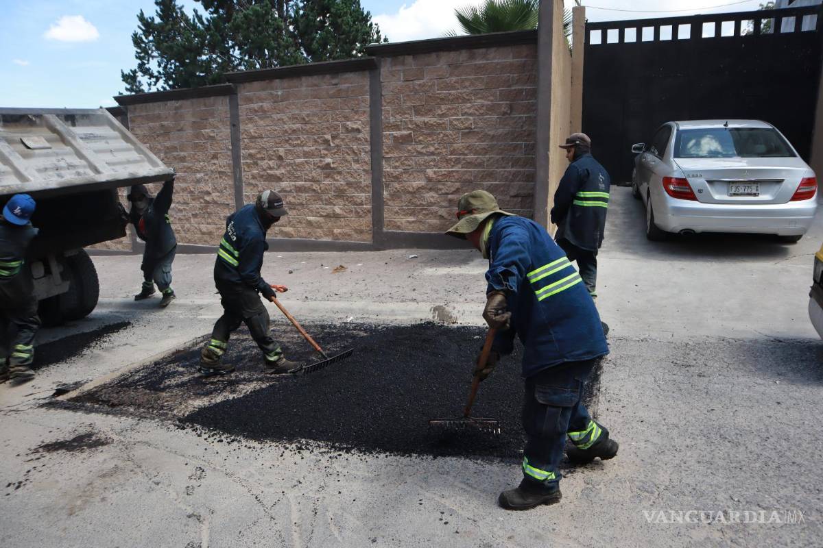 $!La reforestación busca mejorar la calidad del aire, generar hábitat para fauna y promover comunidades sostenibles.