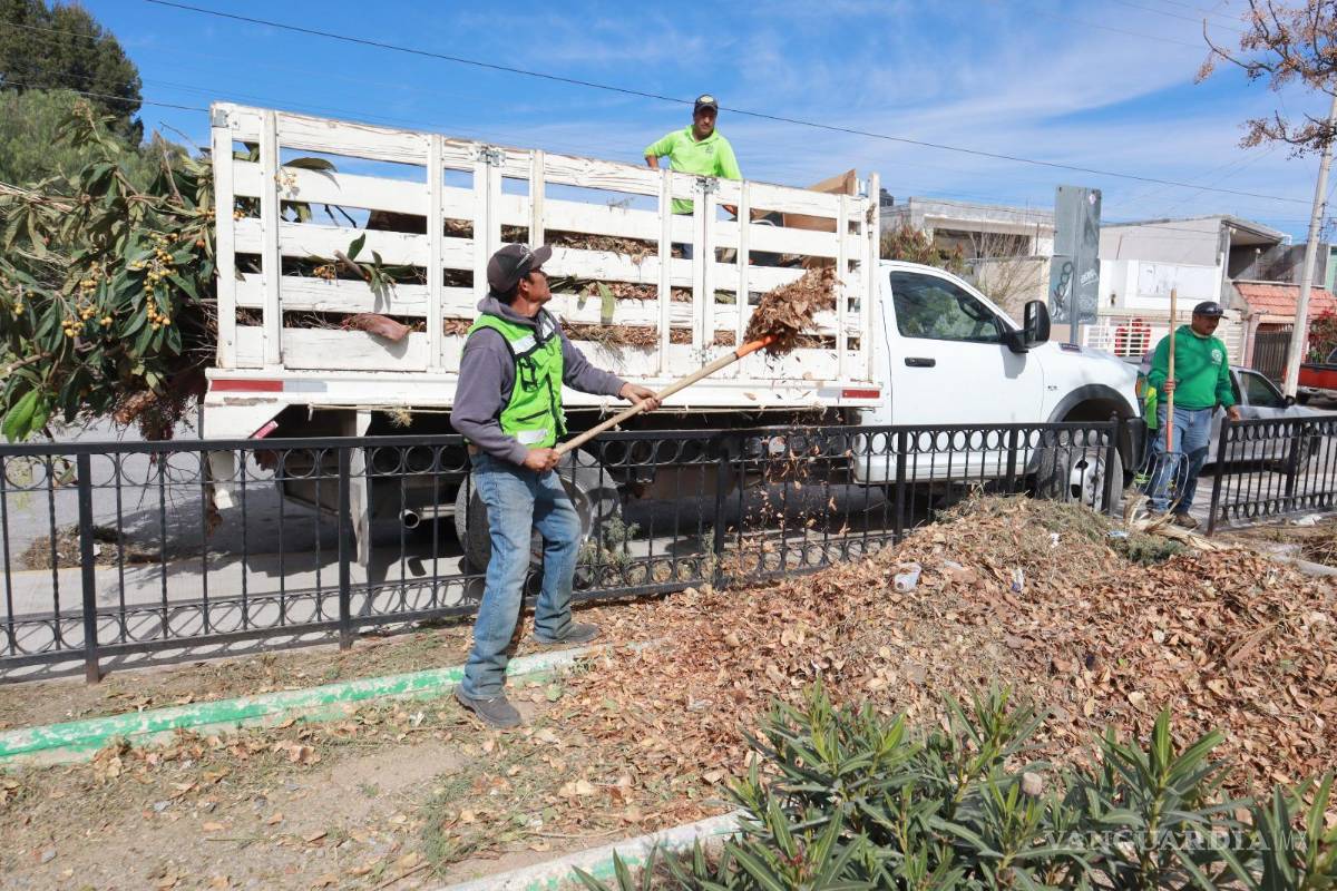 $!Personal municipal llevó a cabo limpieza y retiro de desechos en áreas verdes y cauces naturales para reducir riesgos a la salud y mejorar el entorno urbano.