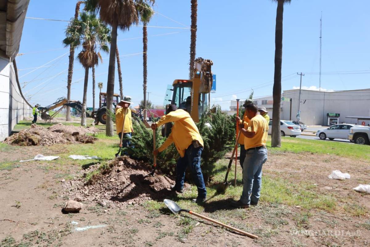 Suman más de 9 mil 700 árboles y plantas sembrados en Saltillo en lo que va del año