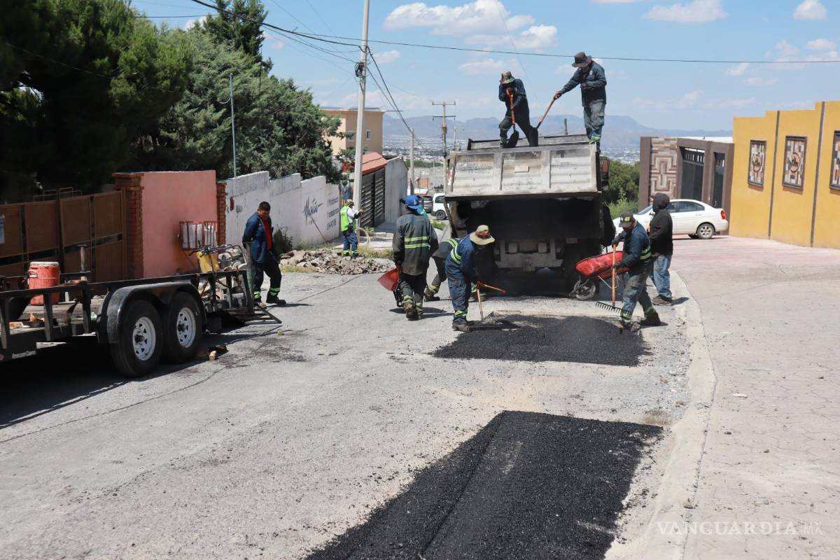 $!El programa “Aquí Andamos” impulsa la reforestación urbana, sembrando árboles de encino siempre verde en el bulevar Luis Donaldo Colosio