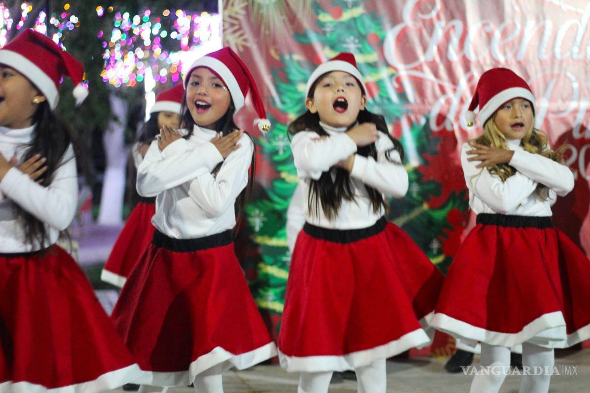Candela ilumina la Navidad: encendido del pino reúne a cientos de familias