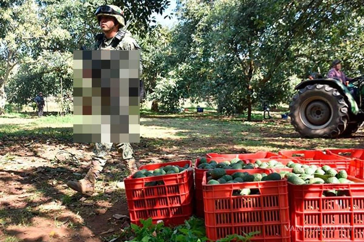 Por el Plan Michoacán, militares patrullan las huertas de aguacate y limón