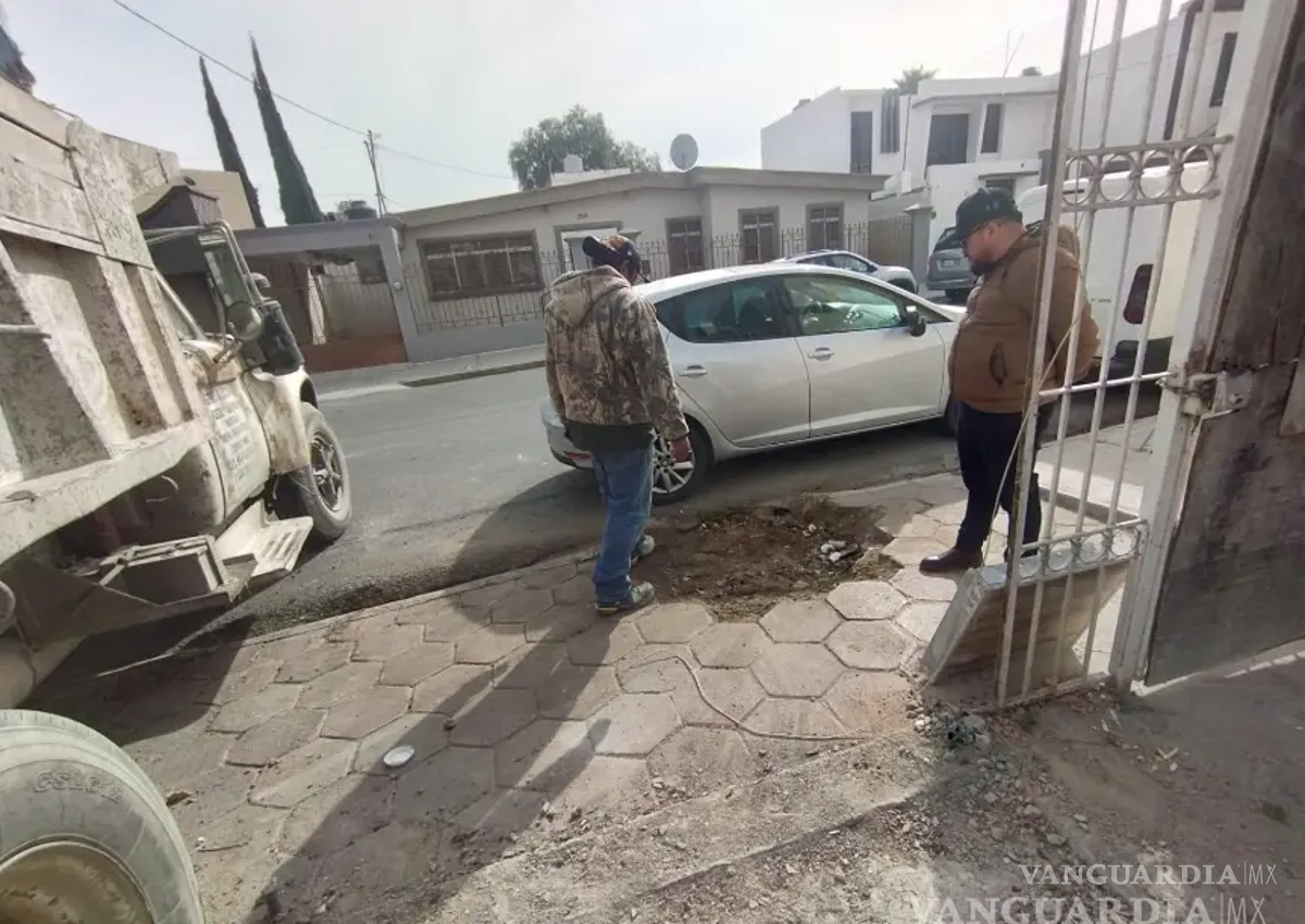 $!El Municipio ha otorgado permisos para el retiro de árboles, sobre todo de algunos que ponen en peligro a los peatones.