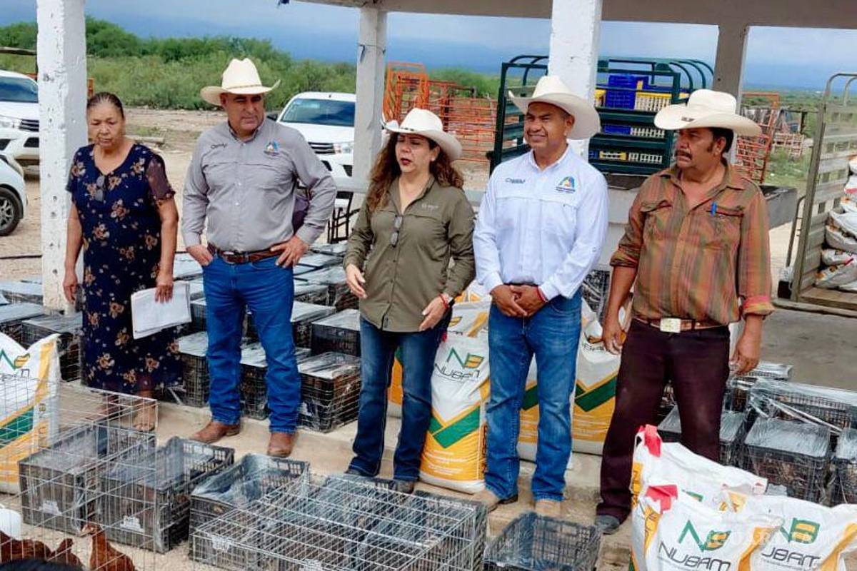 $!Cada paquete entregado incluye 10 pollas y un bulto de alimento para autoconsumo y posible reproducción.