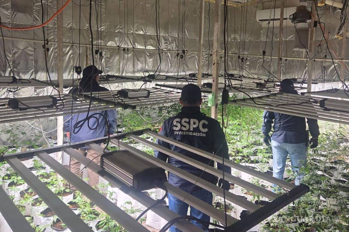 Semar reporta 13 mil 556 detenidos y asegura cargamentos históricos de drogas