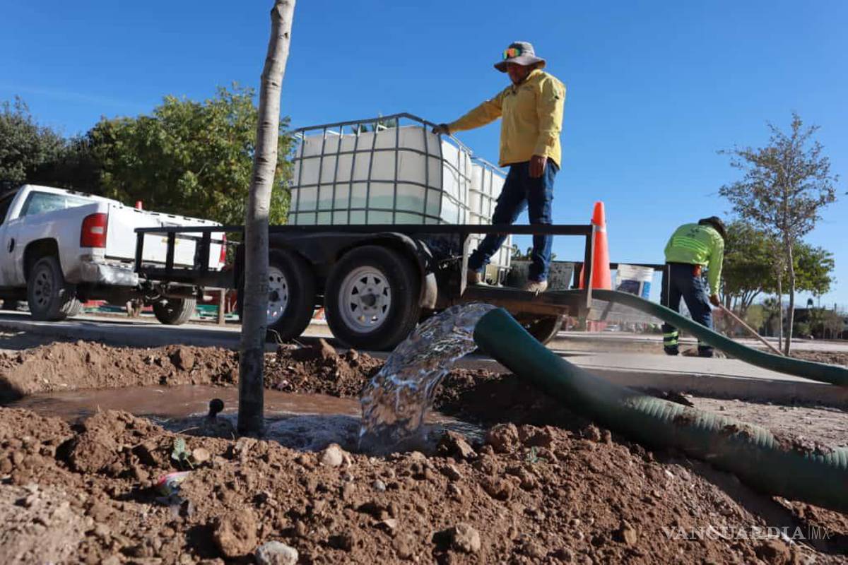 Saltillo refuerza cuidado ambiental con uso de agua tratada en plazas públicas
