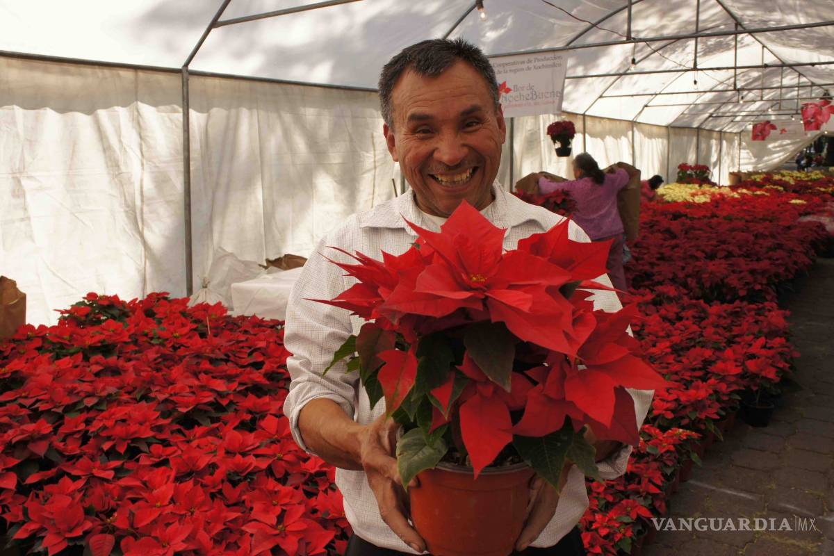 Crea comercio en la región, 5 mil empleos eventuales