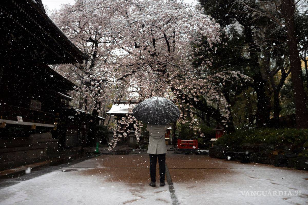 Jugo Naranja: Hospitales colapsarán en enero