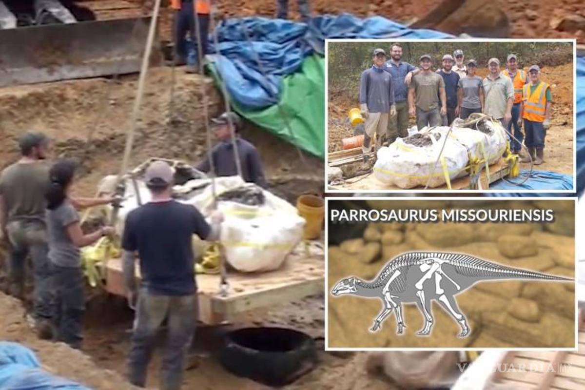 Missouri le “compite” a Coahuila; descubren nueva especie de dinosaurio