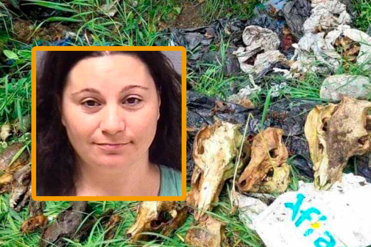 Encuentran cientos de cadáveres de mascotas en refugio animal, dueña los habría matado