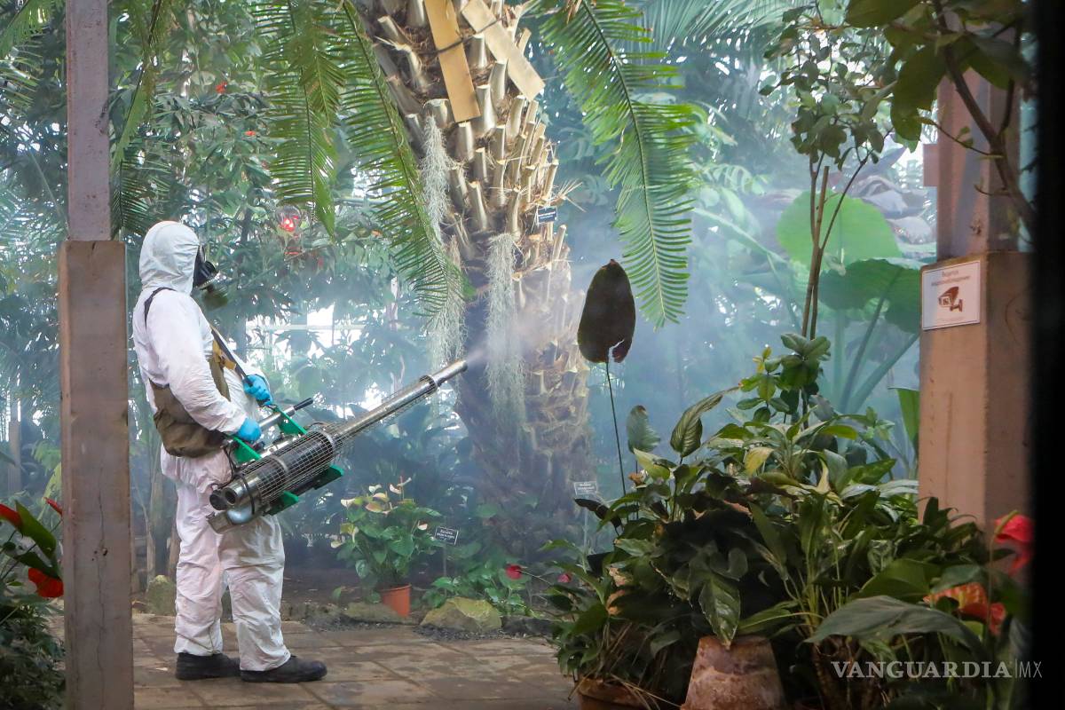 ¿Por qué Rusia reporta muy pocos casos de coronavirus? El corresponsal de The New Yorker en Moscú ofrece una explicación