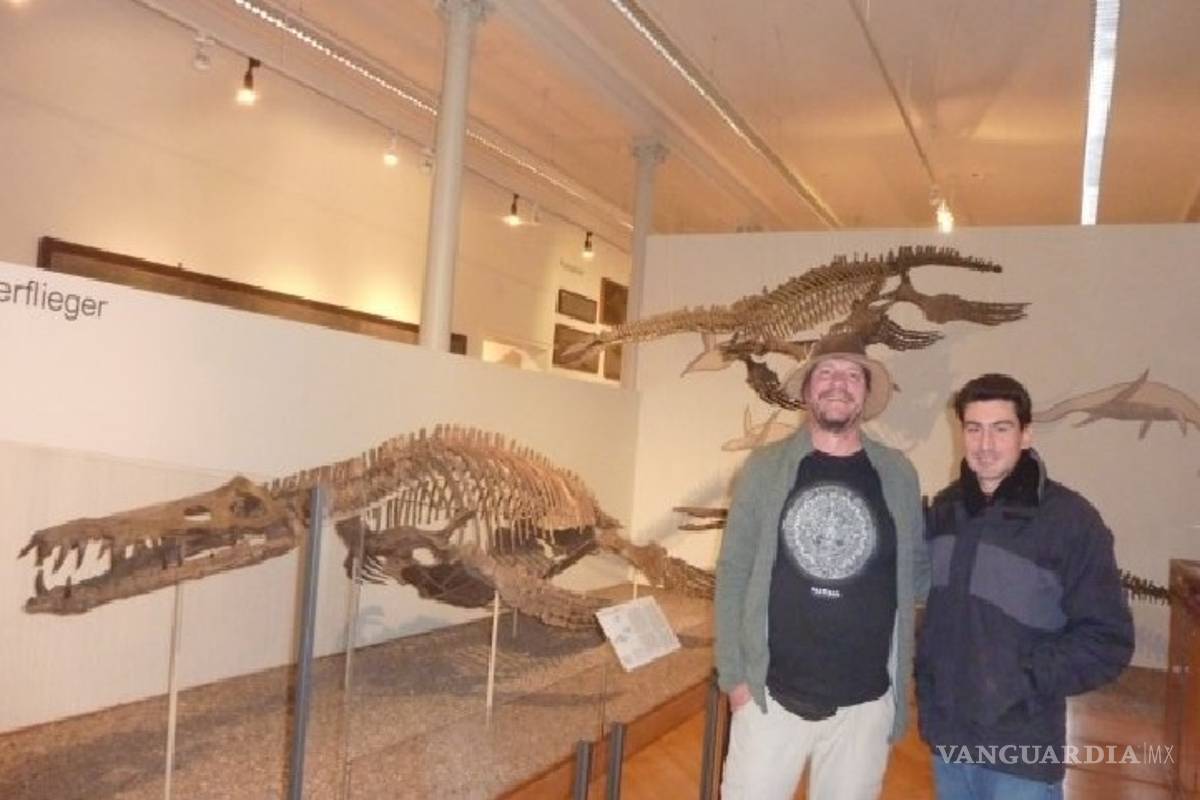 Hallan en Coahuila fósiles de reptil volador desconocido