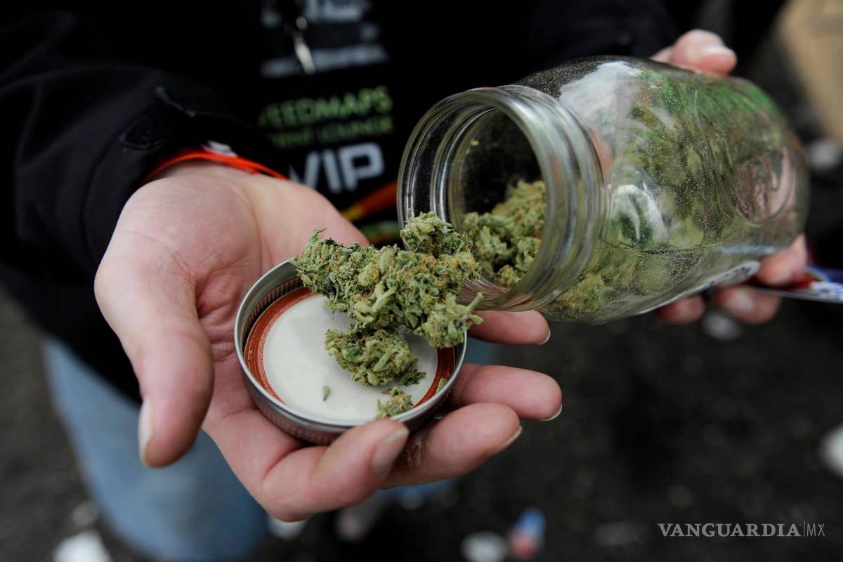 Saltillo: La omisión legislativa y el uso lúdico de la mariguana