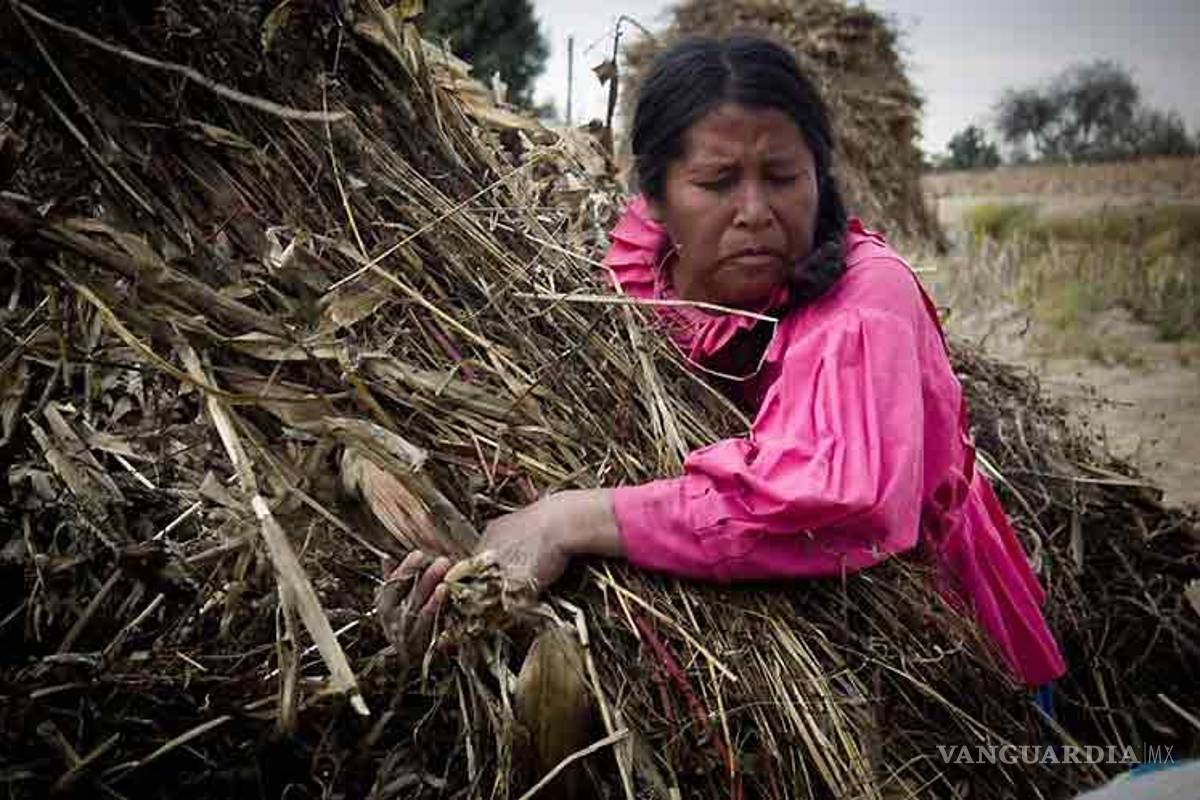 Demandan mujeres atender la pobreza en el campo