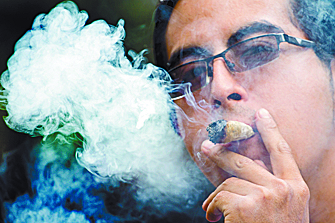 Congelan iniciativas sobre la cannabis en el Congreso