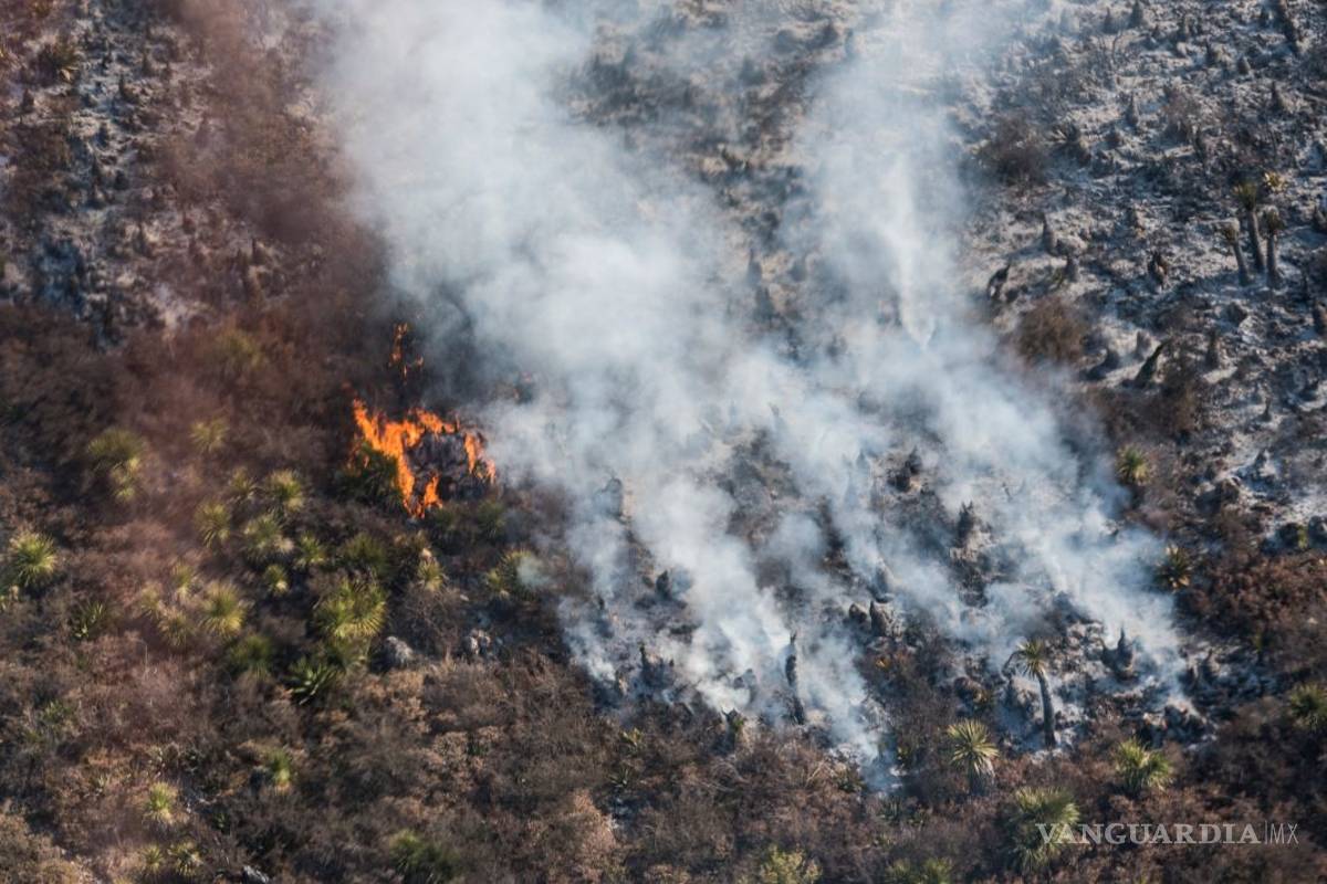 Indagan origen del incendio en 2 cabañas; arroja investigación descuido humano: FGE