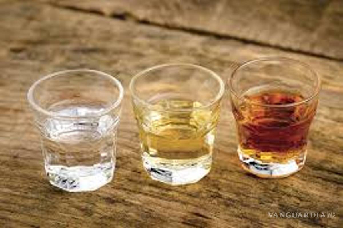 Los 5 beneficios del mezcal que debes saber