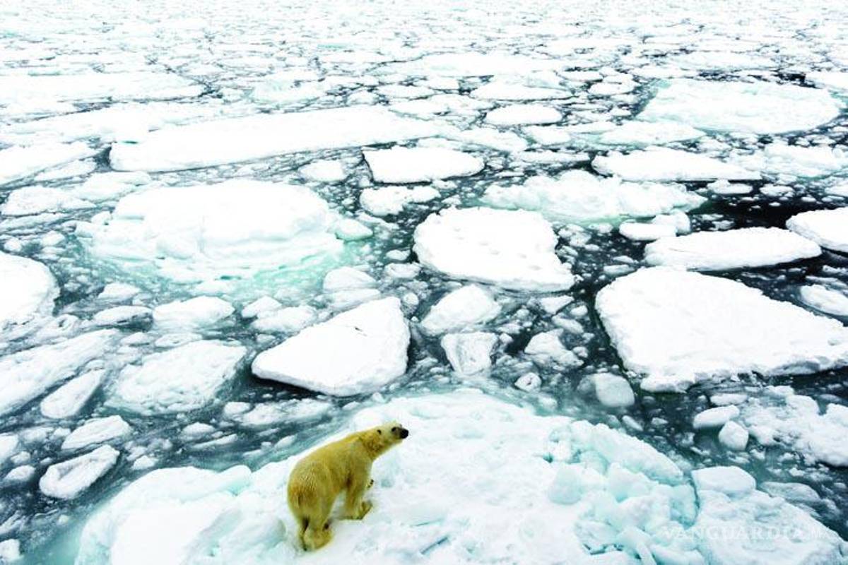 ¿Una nueva era en la Tierra por el daño del ser humano? Cambio climático, contaminación genera una nueva etapa