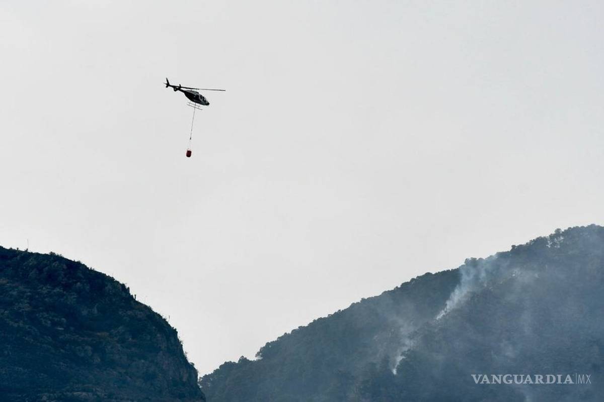 Los incendios, reflejo de nuestra realidad