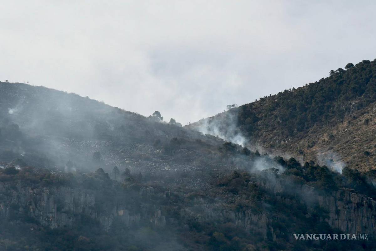 Esperan dos helicópteros más para combatir incendio de la Pinalosa