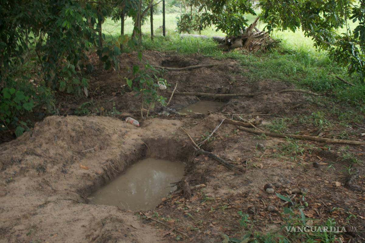 Encuentran fosa con 40 cadáveres de perros en Puebla