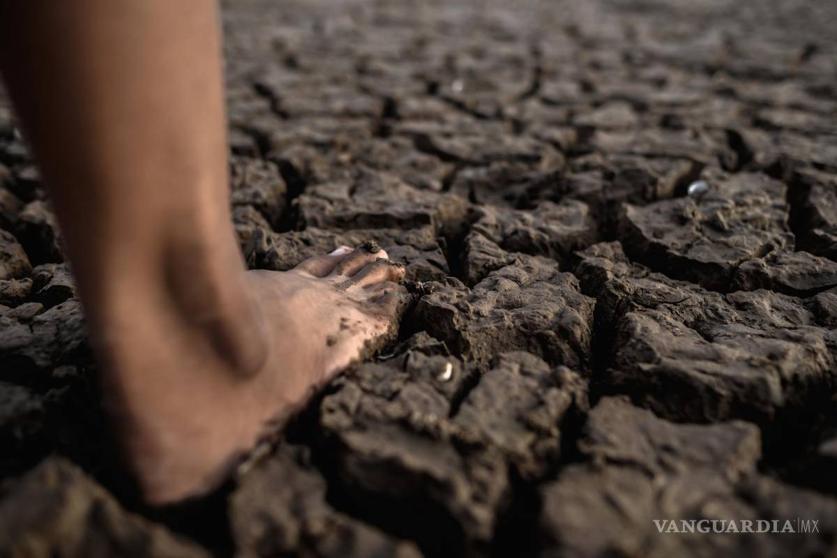 ¿Nos quedan mil años para extinguirnos?