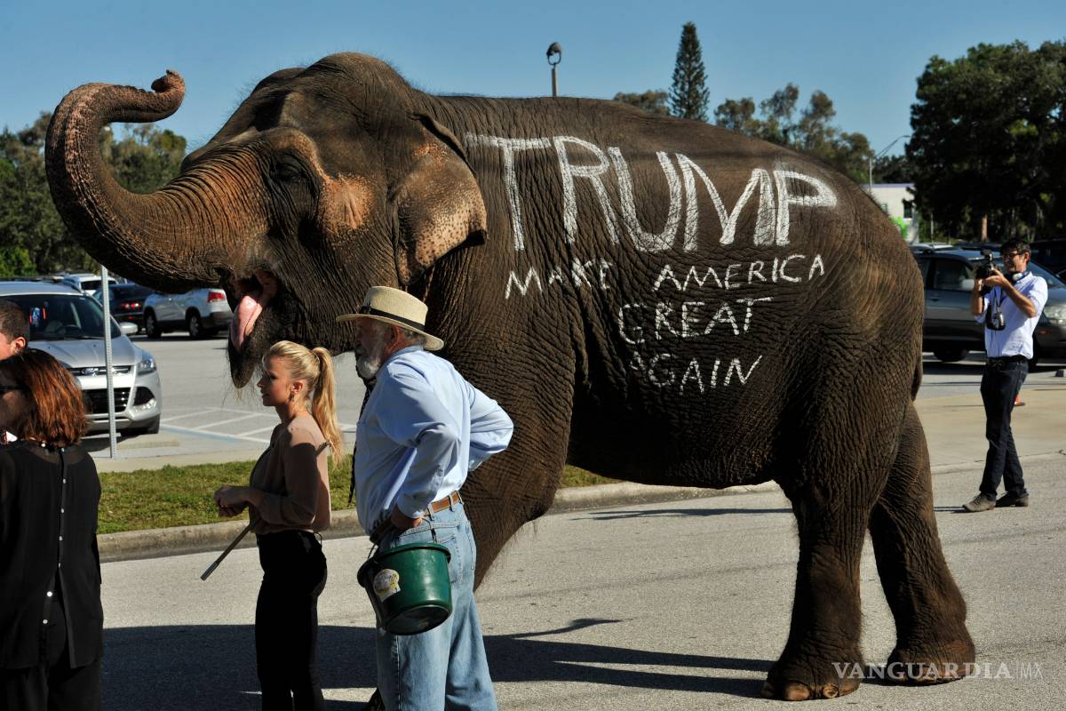 Donald Trump utilizó un elefante para hacer campaña en Florida